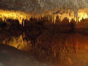 This is a ceiling reflected in water on the floor...